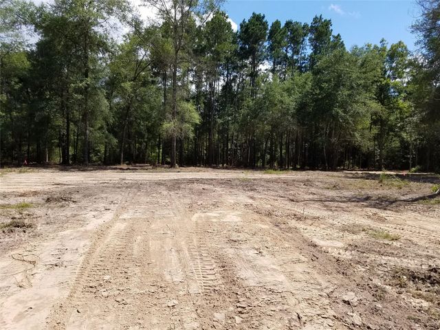 21275 Big Buck Drive, Cleveland, TX 77328