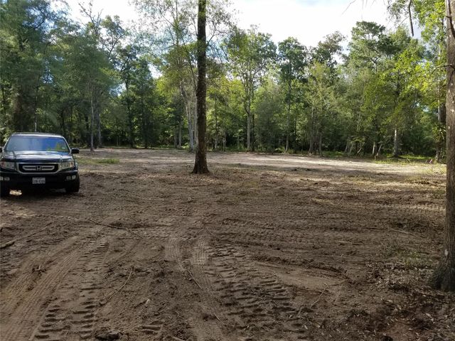 21275 Big Buck Drive, Cleveland, TX 77328