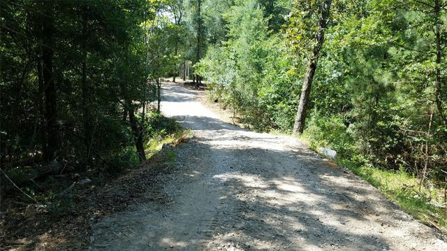 21275 Big Buck Drive, Cleveland, TX 77328