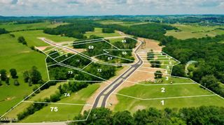 LOT74 807 Sophie Drive, Greenback, TN 37742