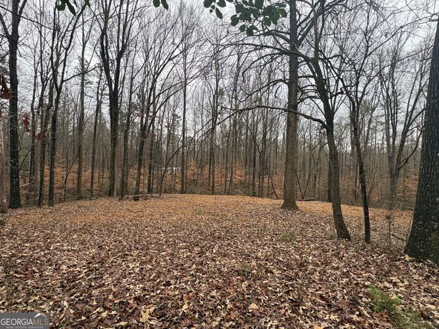 910 Lewis Drive, Lavonia, GA 30553