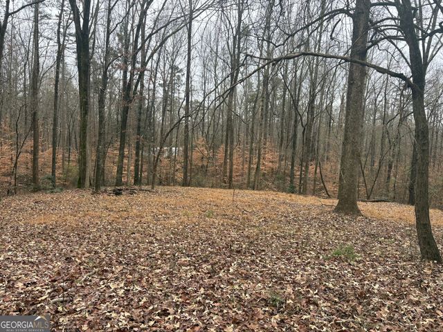 910 Lewis Drive, Lavonia, GA 30553