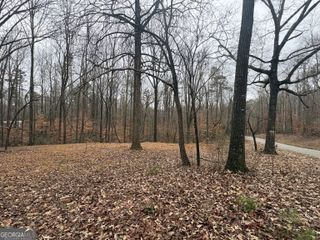 910 Lewis Drive, Lavonia, GA 30553