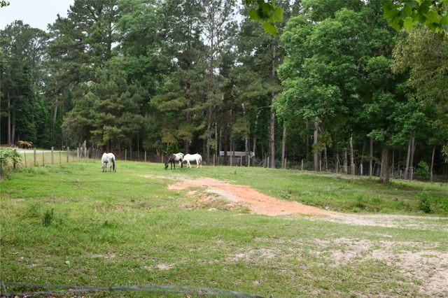 101 Pinewood Drive, Shepherd, TX 77371