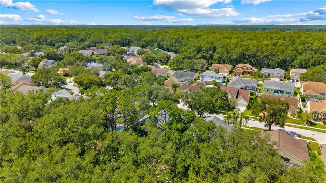 4287 TREMBLAY WAY, Palm Harbor, FL 34685