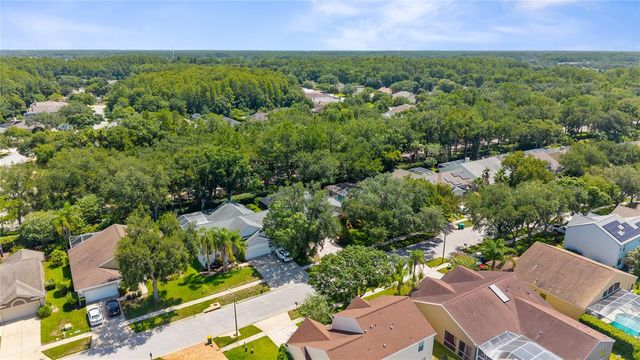 4287 TREMBLAY WAY, Palm Harbor, FL 34685