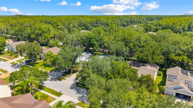 4287 TREMBLAY WAY, Palm Harbor, FL 34685