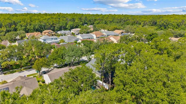 4287 TREMBLAY WAY, Palm Harbor, FL 34685