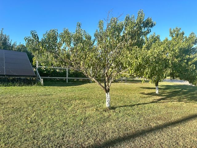 380 S Hartford Avenue, Bolivar, MO 65613