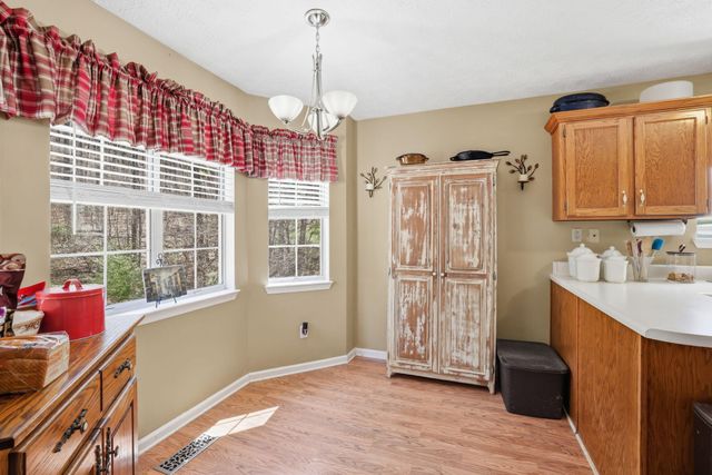 317 Middle View Drive, Ringgold, GA 30736