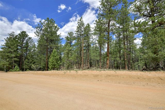 293 Badger Trail, Florissant, CO 80816