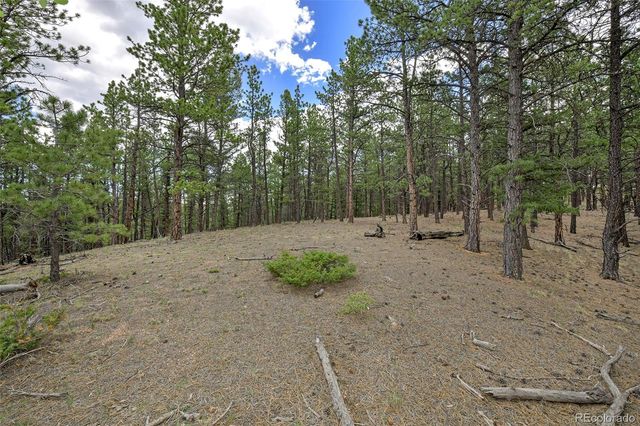 293 Badger Trail, Florissant, CO 80816