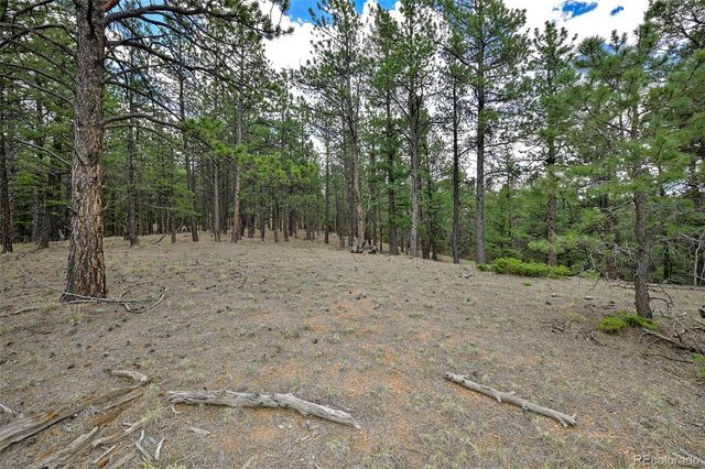 293 Badger Trail, Florissant, CO 80816