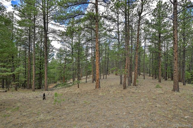 293 Badger Trail, Florissant, CO 80816