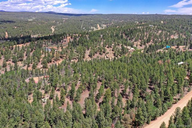 293 Badger Trail, Florissant, CO 80816