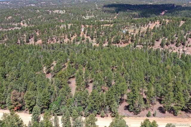 293 Badger Trail, Florissant, CO 80816