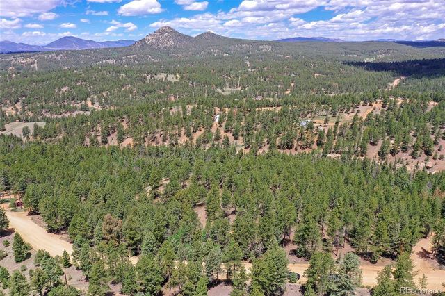 293 Badger Trail, Florissant, CO 80816