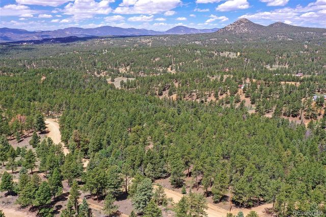 293 Badger Trail, Florissant, CO 80816