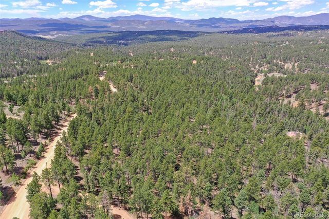 293 Badger Trail, Florissant, CO 80816