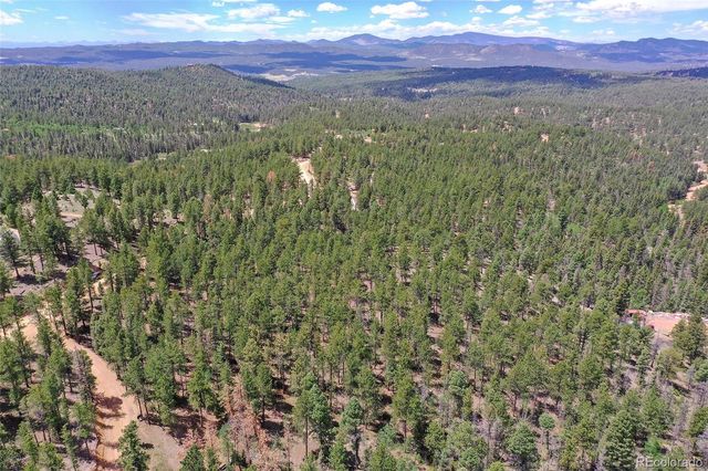293 Badger Trail, Florissant, CO 80816