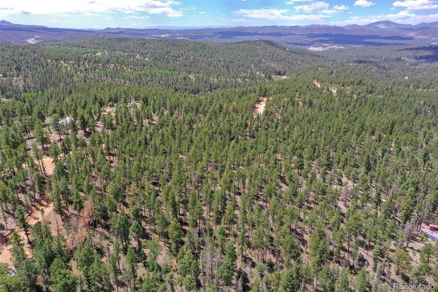 293 Badger Trail, Florissant, CO 80816