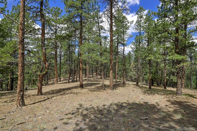 293 Badger Trail, Florissant, CO 80816