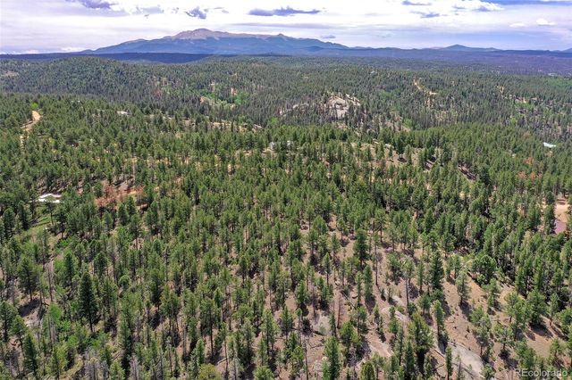 293 Badger Trail, Florissant, CO 80816