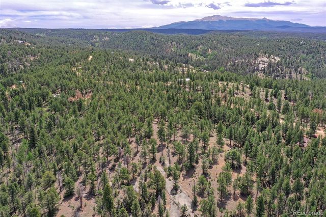 293 Badger Trail, Florissant, CO 80816