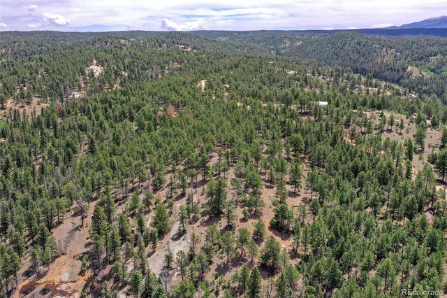 293 Badger Trail, Florissant, CO 80816