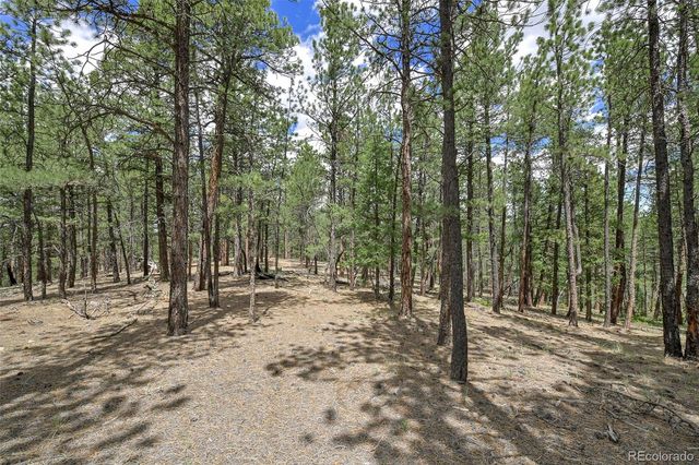 293 Badger Trail, Florissant, CO 80816