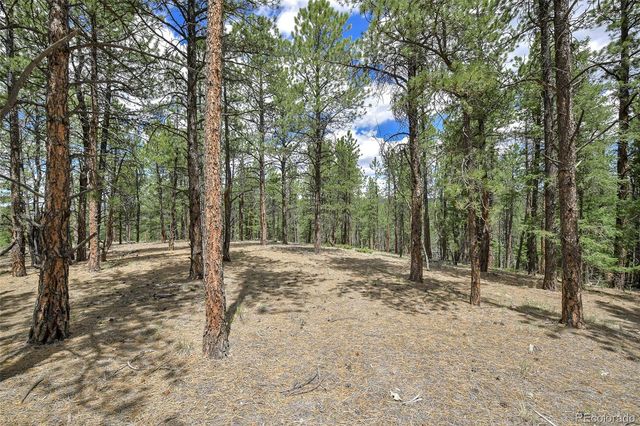293 Badger Trail, Florissant, CO 80816