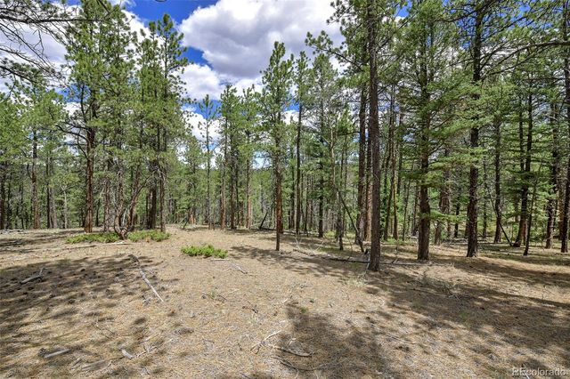293 Badger Trail, Florissant, CO 80816