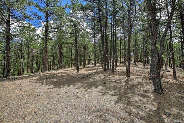 293 Badger Trail, Florissant, CO 80816