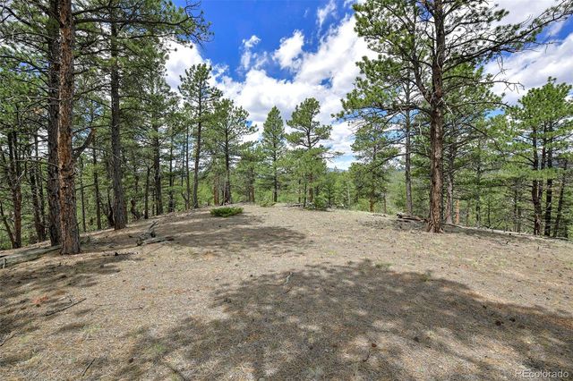 293 Badger Trail, Florissant, CO 80816