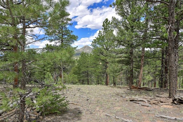 293 Badger Trail, Florissant, CO 80816