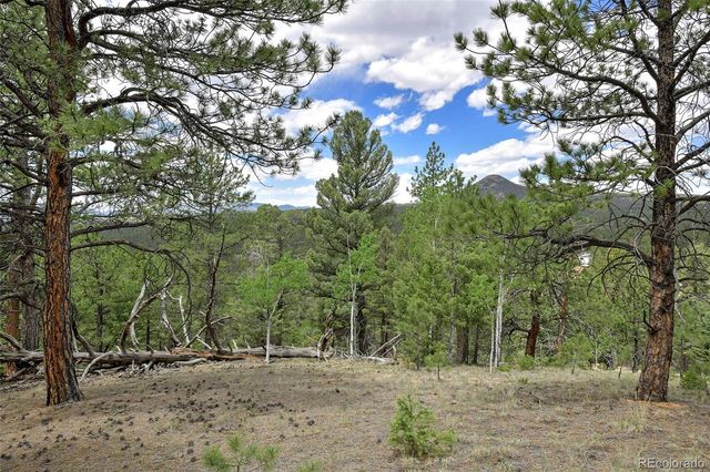 293 Badger Trail, Florissant, CO 80816