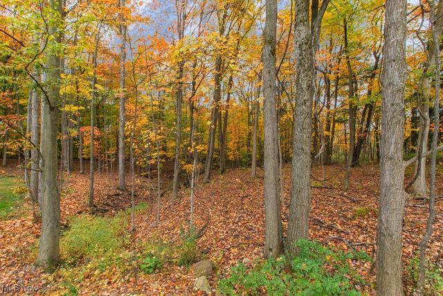 2770 Weeping Pine Drive, Medina, OH 44256