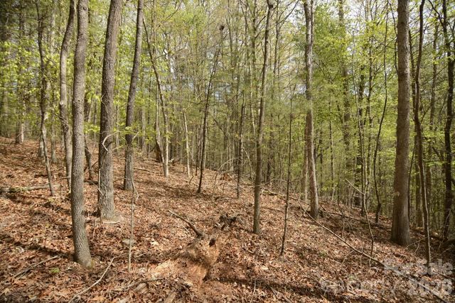 00 Garnet Drive, Leicester, NC 28748