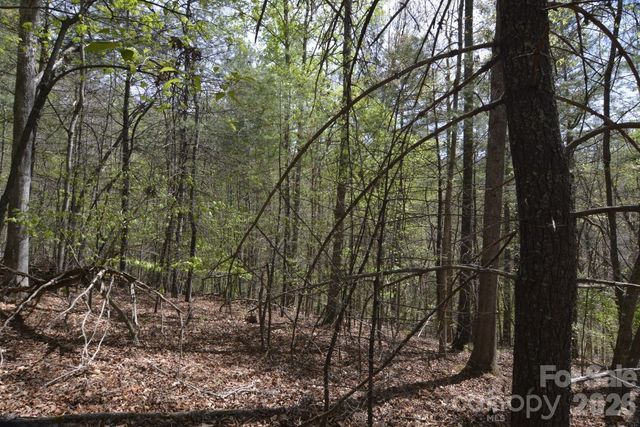 00 Garnet Drive, Leicester, NC 28748