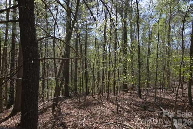 00 Garnet Drive, Leicester, NC 28748