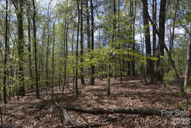 00 Garnet Drive, Leicester, NC 28748