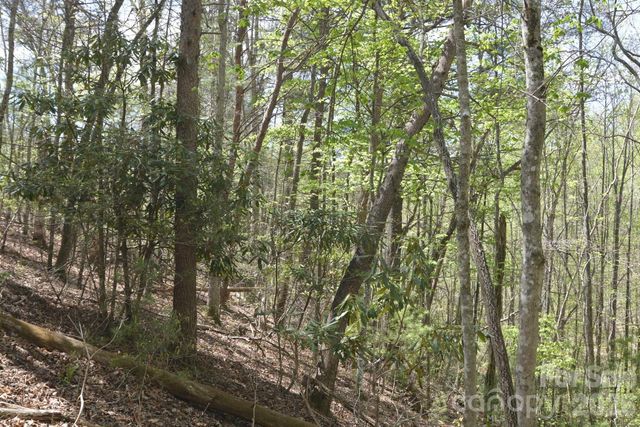 00 Garnet Drive, Leicester, NC 28748