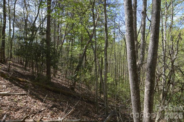 00 Garnet Drive, Leicester, NC 28748