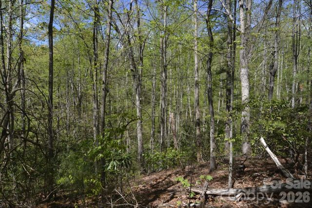 00 Garnet Drive, Leicester, NC 28748