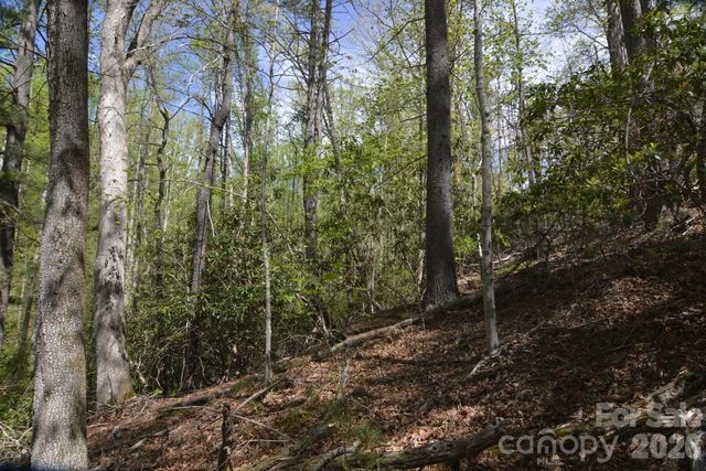 00 Garnet Drive, Leicester, NC 28748