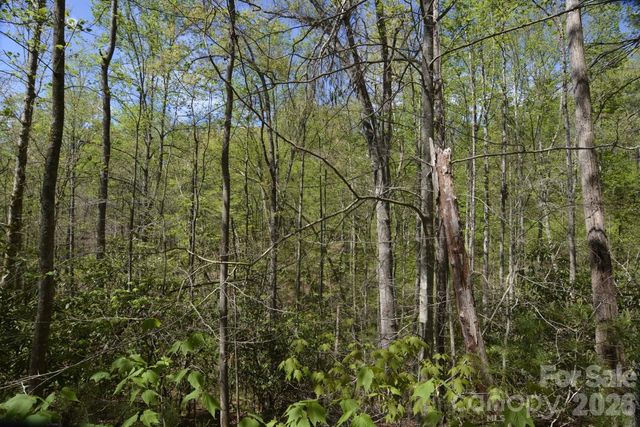 00 Garnet Drive, Leicester, NC 28748