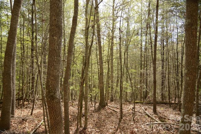 00 Garnet Drive, Leicester, NC 28748