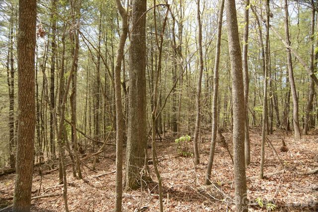 00 Garnet Drive, Leicester, NC 28748