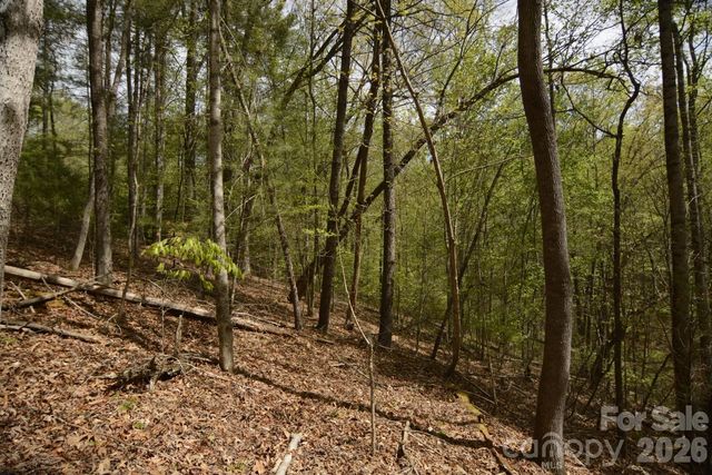 00 Garnet Drive, Leicester, NC 28748