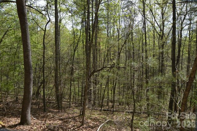 00 Garnet Drive, Leicester, NC 28748
